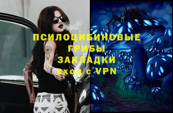 крисы Алексин