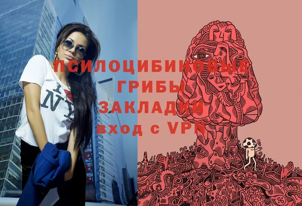прущие крисы Арсеньев